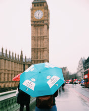 Load image into Gallery viewer, Tour of London England in Rain
